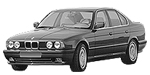 BMW E34 P0250 Fault Code